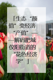 生态“颜值”变经济“产值”——解码肥城仪阳街道的“花色经济学”