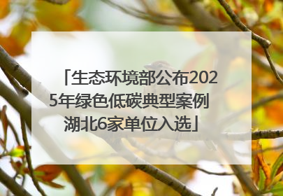 生态环境部公布2025年绿色低碳典型案例 湖北6家单位入选
