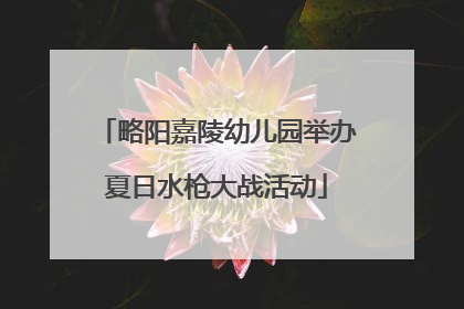 略阳嘉陵幼儿园举办夏日水枪大战活动