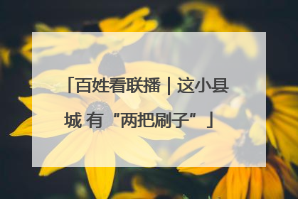 百姓看联播｜这小县城 有“两把刷子”