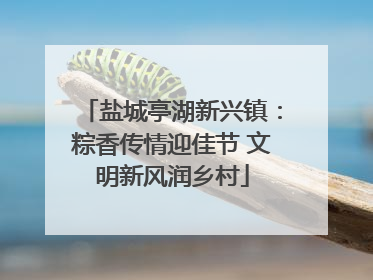 盐城亭湖新兴镇：粽香传情迎佳节 文明新风润乡村