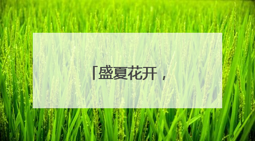 盛夏花开，凌霄攀云