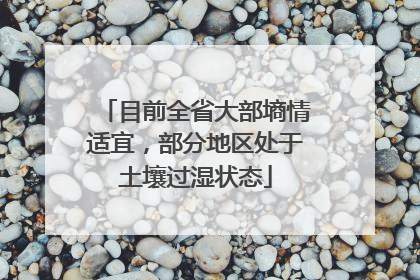 目前全省大部墒情适宜，部分地区处于土壤过湿状态