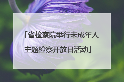 省检察院举行未成年人主题检察开放日活动