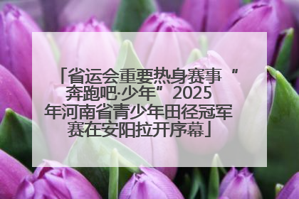 省运会重要热身赛事“奔跑吧·少年”2025年河南省青少年田径冠军赛在安阳拉开序幕