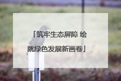 筑牢生态屏障 绘就绿色发展新画卷