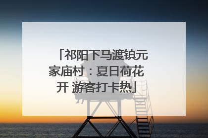 祁阳下马渡镇元家庙村：夏日荷花开 游客打卡热