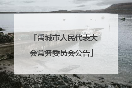 禹城市人民代表大会常务委员会公告