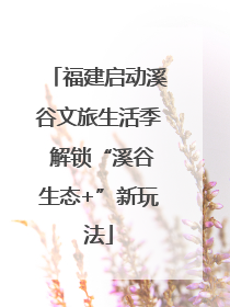 福建启动溪谷文旅生活季 解锁“溪谷生态+”新玩法