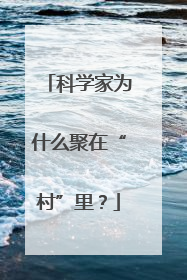 科学家为什么聚在“村”里？