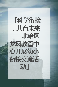 科学衔接，共育未来——北碚区龙凤教管中心开展幼小衔接交流活动