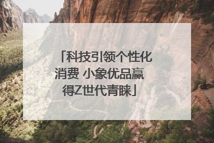 科技引领个性化消费 小象优品赢得Z世代青睐