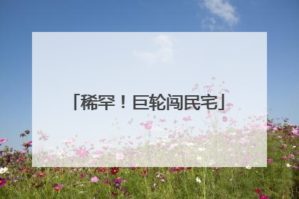 稀罕！巨轮闯民宅