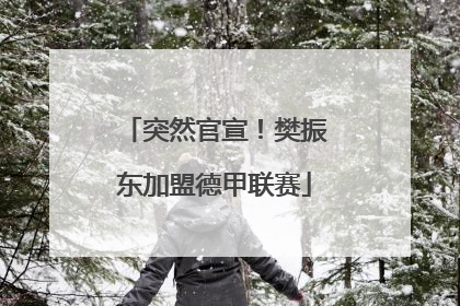 突然官宣！樊振东加盟德甲联赛