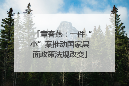 章春燕：一件“小”案推动国家层面政策法规改变
