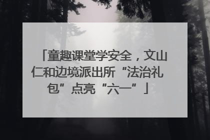童趣课堂学安全，文山仁和边境派出所“法治礼包”点亮“六一”