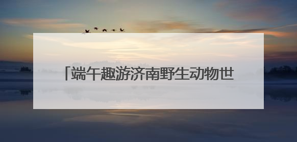 端午趣游济南野生动物世界，“粽享”量级欢乐