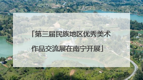 第三届民族地区优秀美术作品交流展在南宁开展