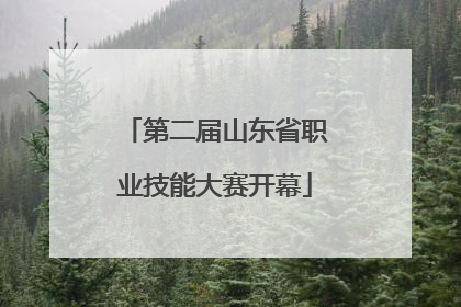第二届山东省职业技能大赛开幕