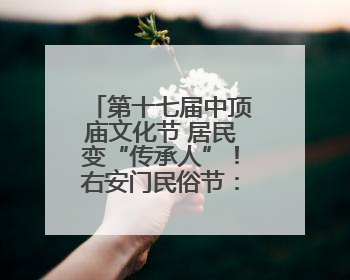 第十七届中顶庙文化节 居民变“传承人”！右安门民俗节：非遗从展柜走进烟火气