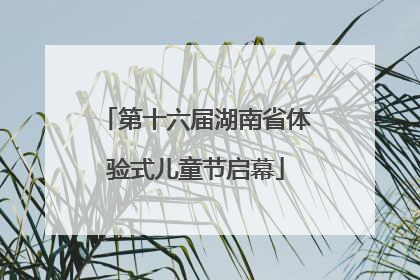 第十六届湖南省体验式儿童节启幕