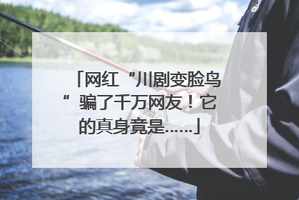 网红“川剧变脸鸟”骗了千万网友！它的真身竟是……