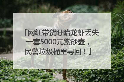 网红带货盱眙龙虾丢失一套5000元紫砂壶，民警垃圾桶里寻回！