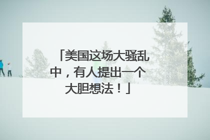 美国这场大骚乱中，有人提出一个大胆想法！