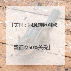 美国：同意推迟对欧盟征收50%关税
