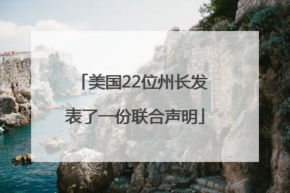 美国22位州长发表了一份联合声明