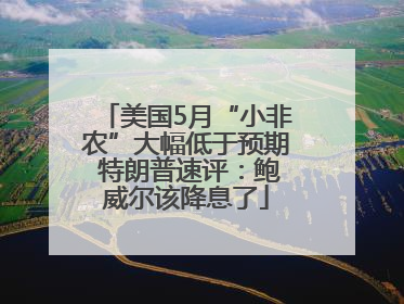 美国5月“小非农”大幅低于预期 特朗普速评：鲍威尔该降息了