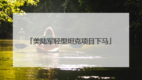 美陆军轻型坦克项目下马