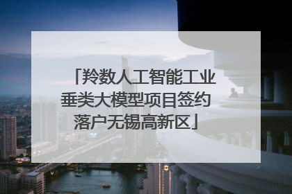 羚数人工智能工业垂类大模型项目签约落户无锡高新区