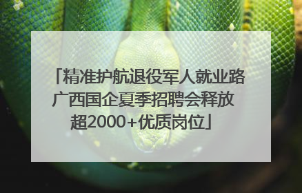 精准护航退役军人就业路 广西国企夏季招聘会释放超2000+优质岗位