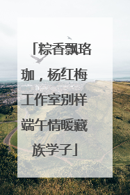 粽香飘珞珈，杨红梅工作室别样端午情暖藏族学子