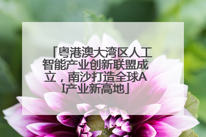 粤港澳大湾区人工智能产业创新联盟成立，南沙打造全球AI产业新高地