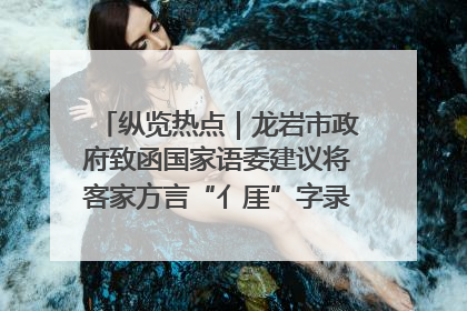 纵览热点｜龙岩市政府致函国家语委建议将客家方言“亻厓”字录入《新华字典》引发热议，当地回应