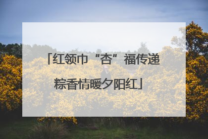 红领巾“杏”福传递 粽香情暖夕阳红