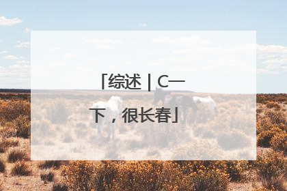 综述｜C一下，很长春