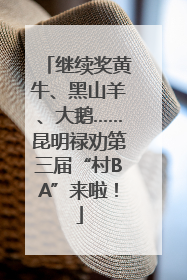 继续奖黄牛、黑山羊、大鹅……昆明禄劝第三届“村BA”来啦！