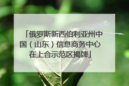 俄罗斯新西伯利亚州中国(山东)信息商务中心在上合示范区揭牌