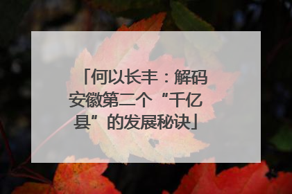 何以长丰：解码安徽第二个“千亿县”的发展秘诀