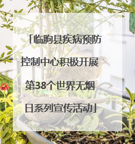 临朐县疾病预防控制中心积极开展第38个世界无烟日系列宣传活动