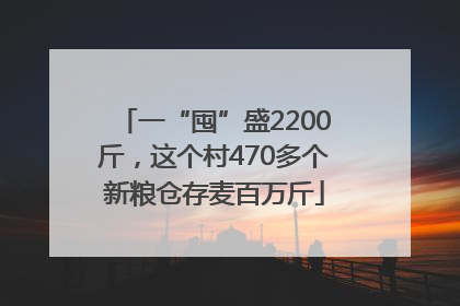 一“囤”盛2200斤，这个村470多个新粮仓存麦百万斤