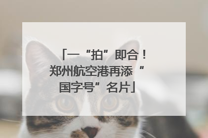 一“拍”即合！郑州航空港再添“国字号”名片