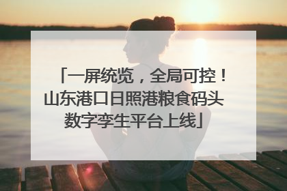 一屏统览，全局可控！山东港口日照港粮食码头数字孪生平台上线