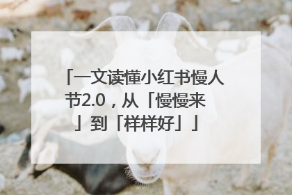 一文读懂小红书慢人节2.0，从「慢慢来」到「样样好」
