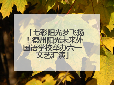 七彩阳光梦飞扬！德州阳光未来外国语学校举办六一文艺汇演