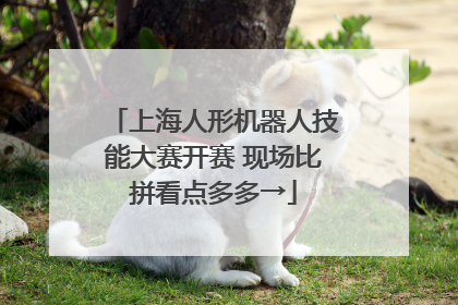 上海人形机器人技能大赛开赛 现场比拼看点多多→