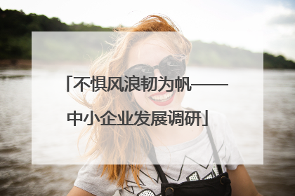不惧风浪韧为帆——中小企业发展调研